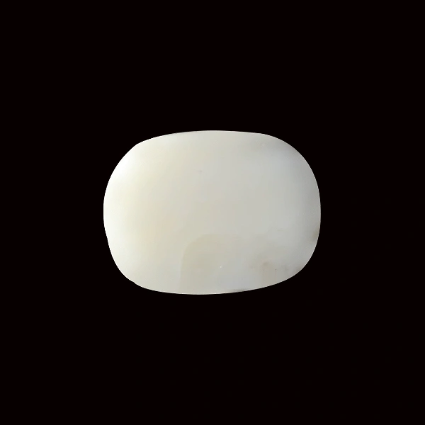 White Coral - 13.98 carats